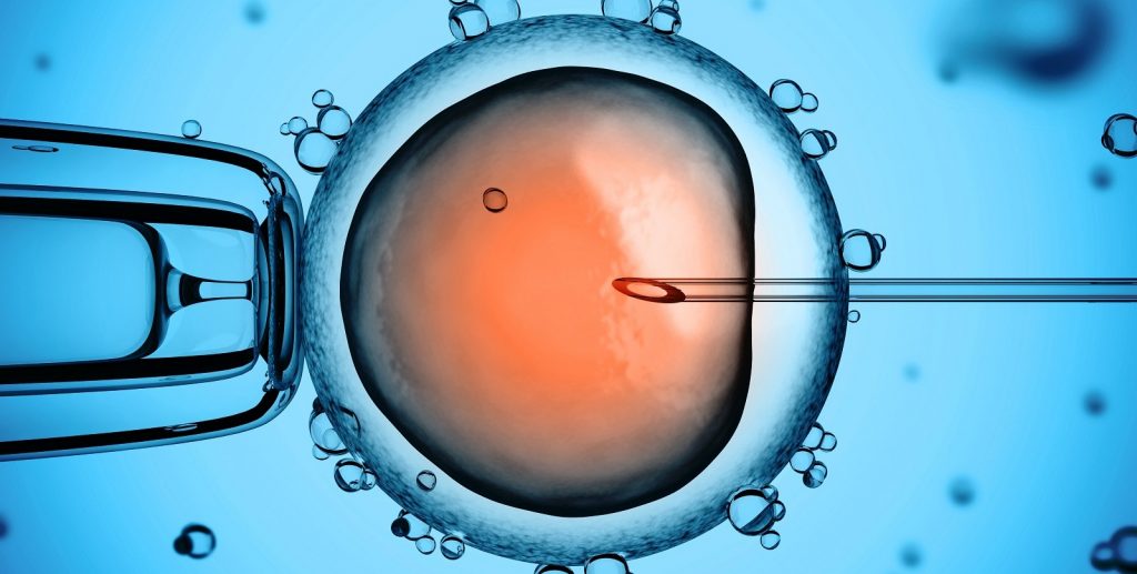 ivf (1)