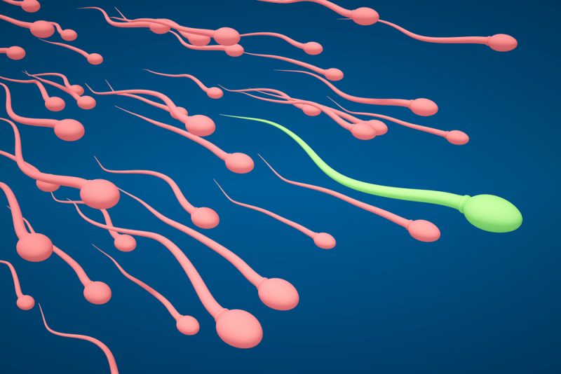 testiranje, plodnost, sperma, vantelesna oplodnja, vto, ivf